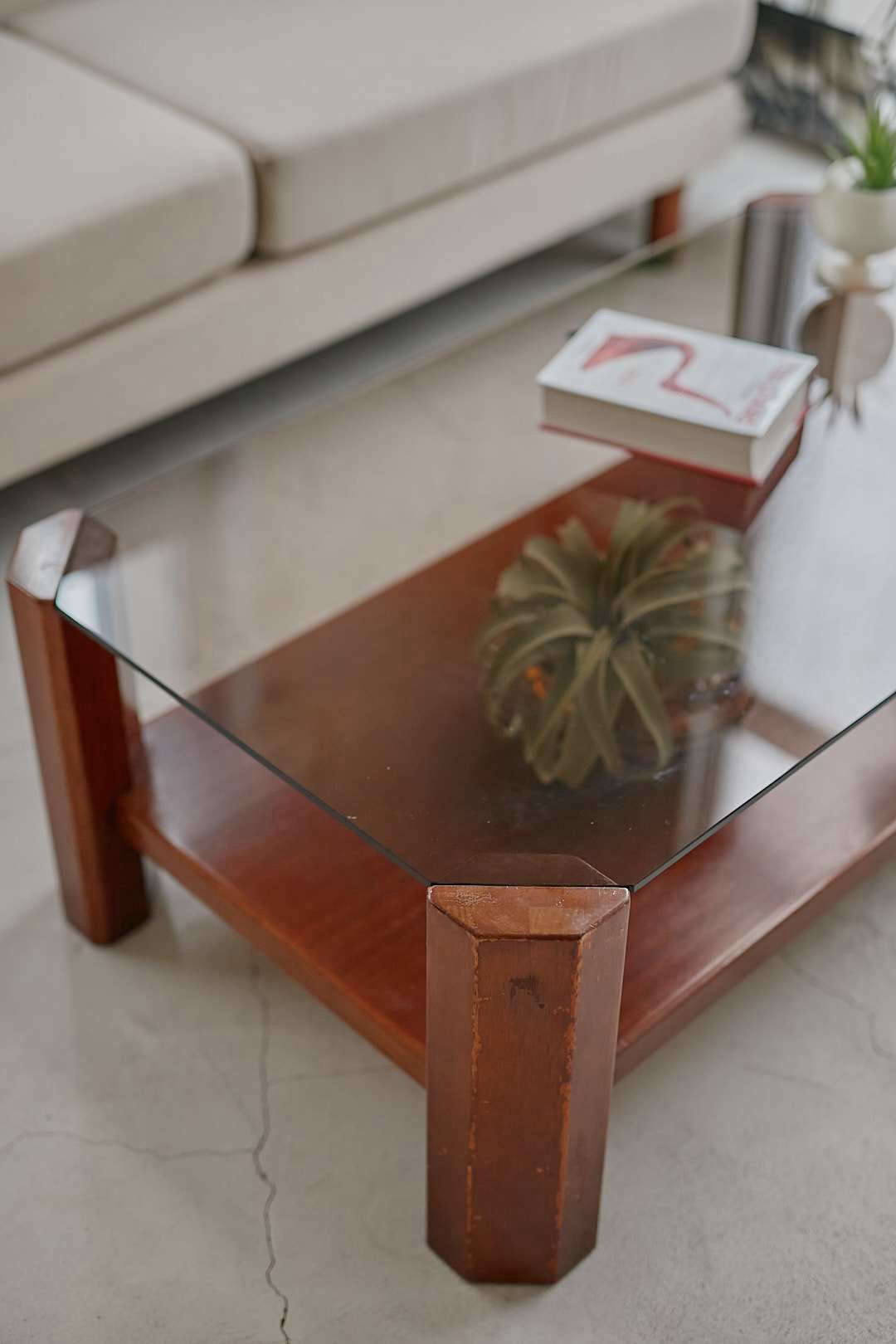 Smoked Glass Low Table