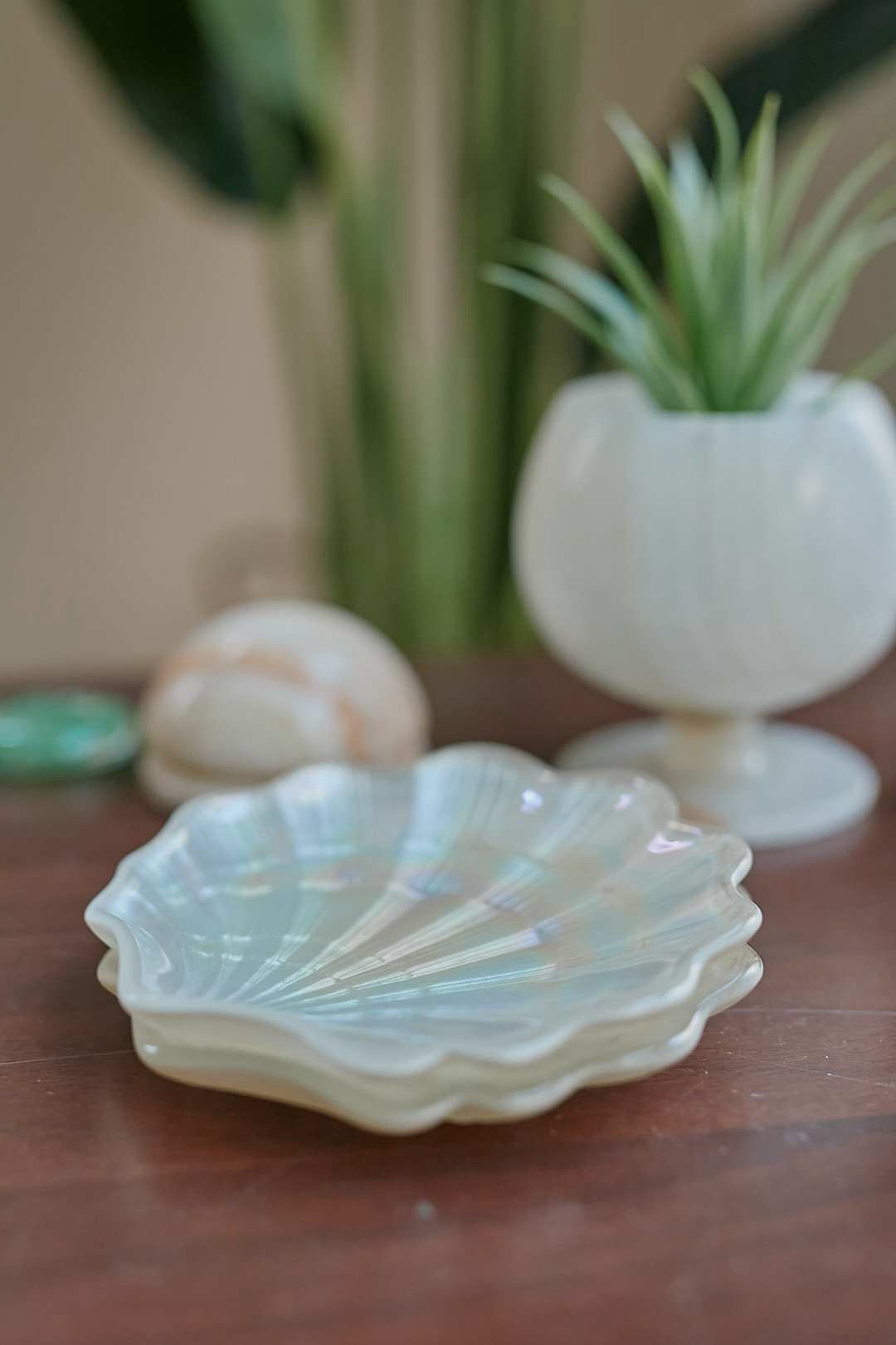 Aurora Shell Glass Tray