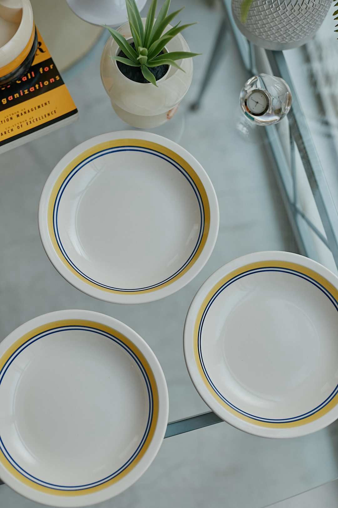 Circle Line Plate