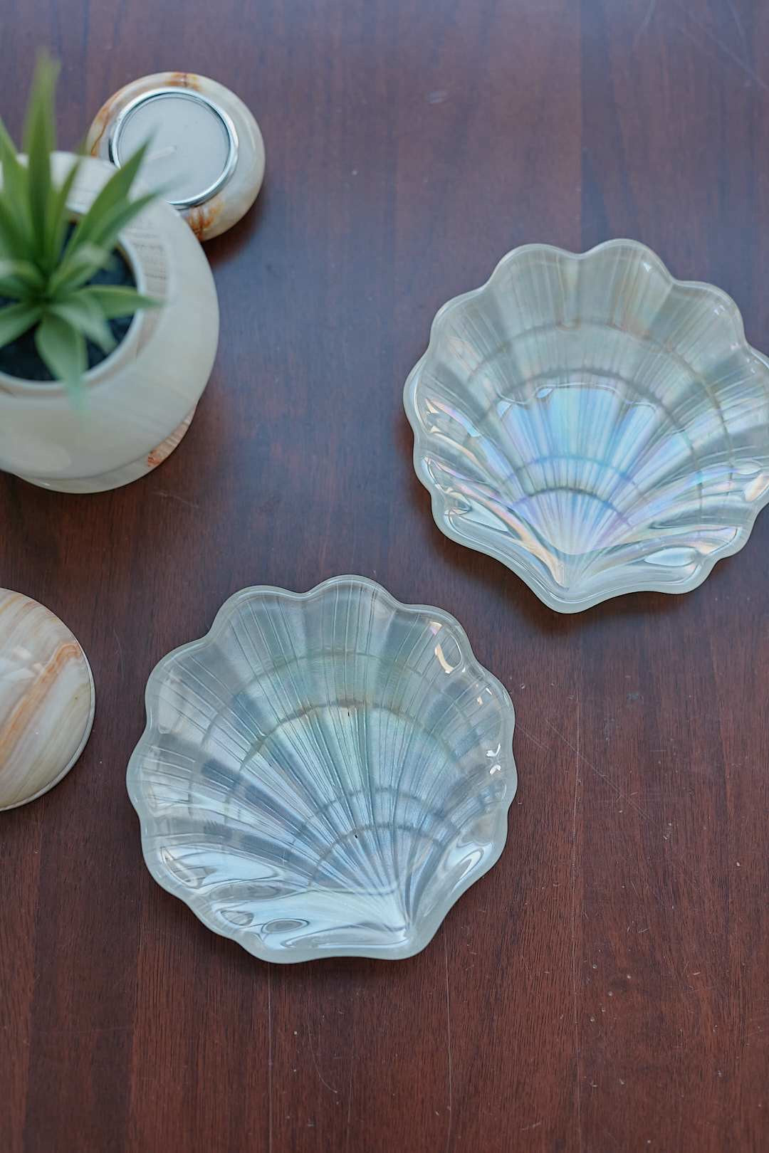Aurora Shell Glass Tray