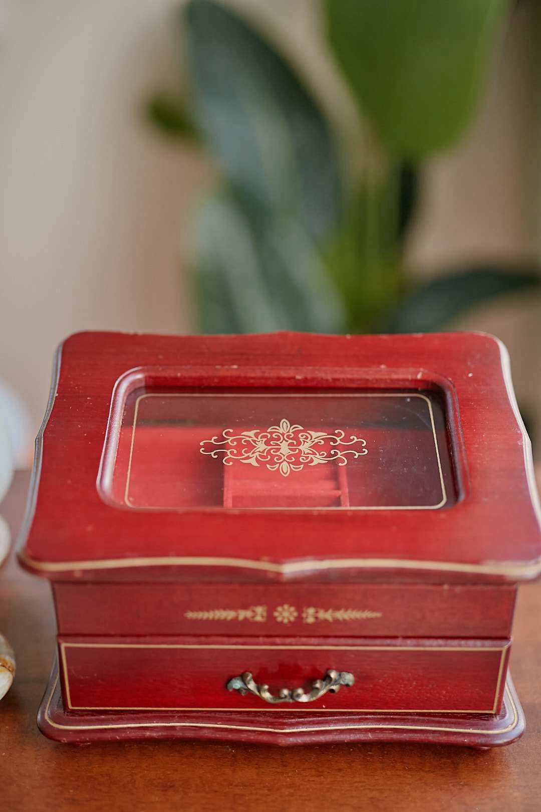 Rouge Velvet Jewelry Case