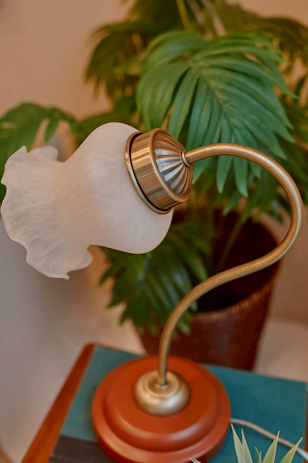 White frill lamp