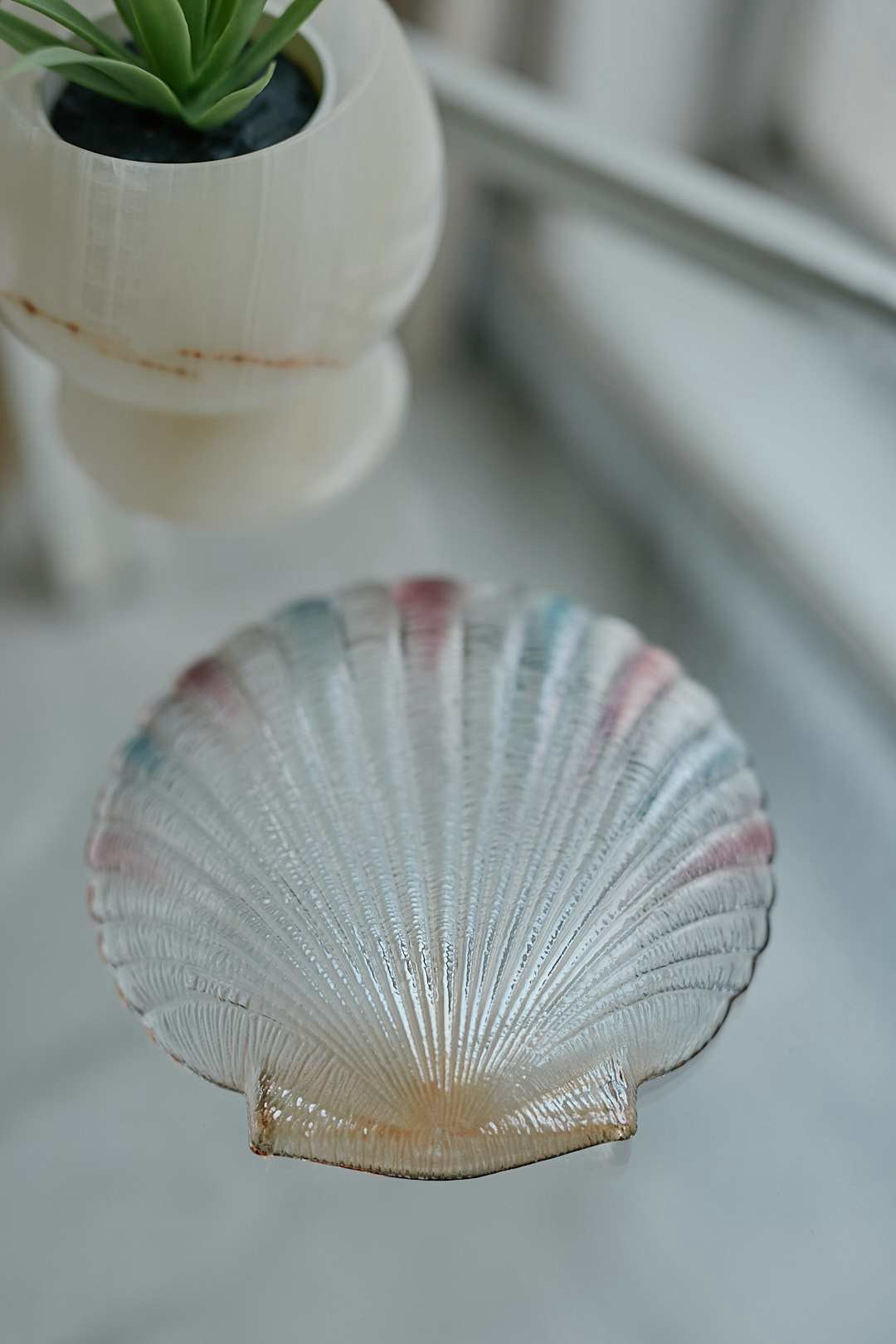 Pastel Shell Glass Tray