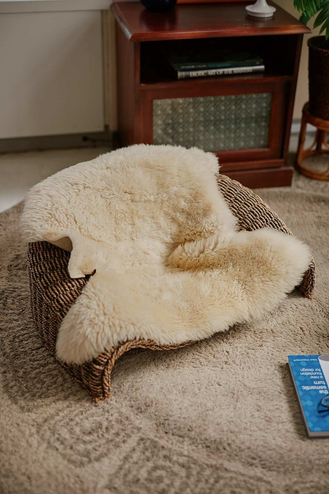 Rattan Floor Low Chair