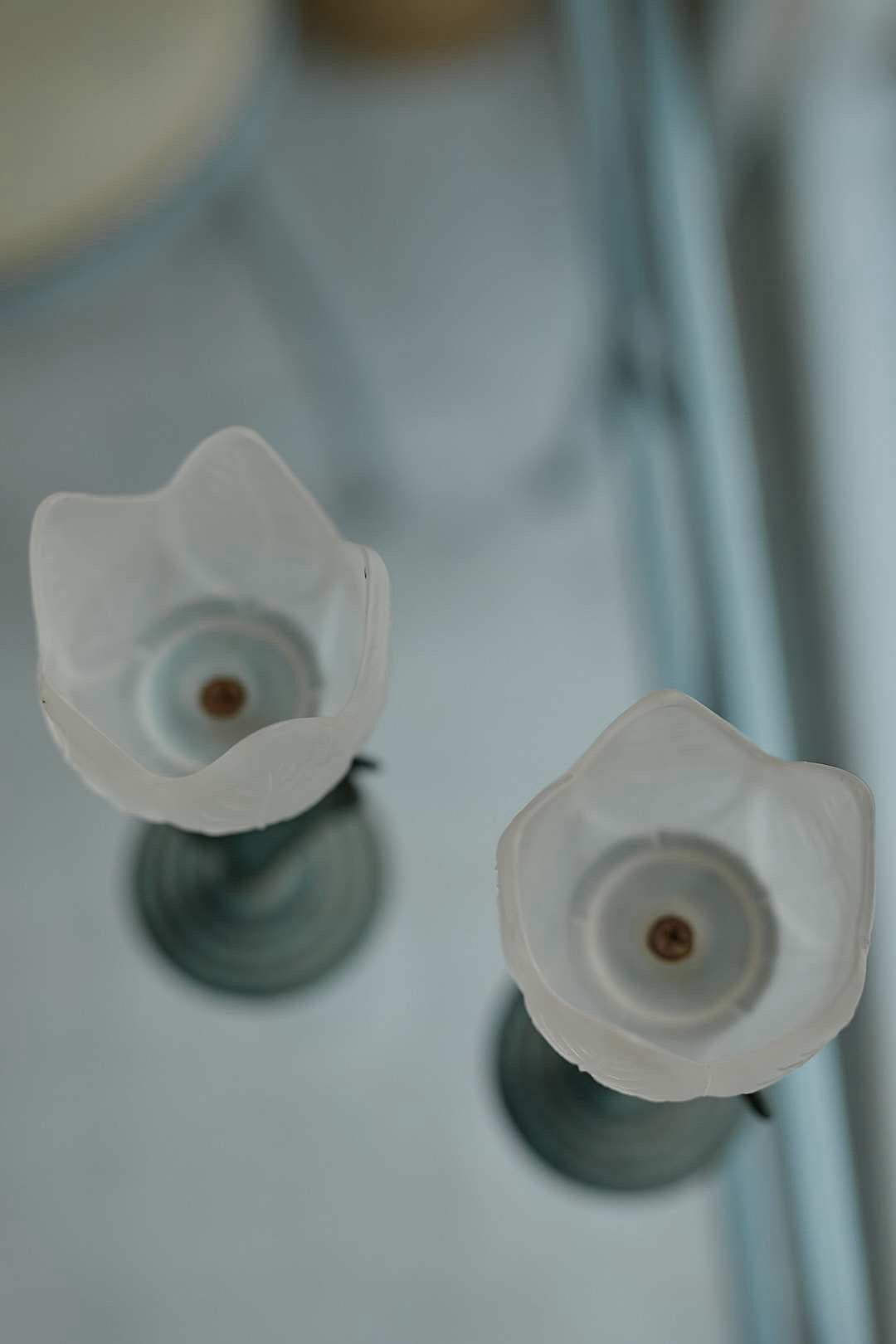 Frost tulip candle holde