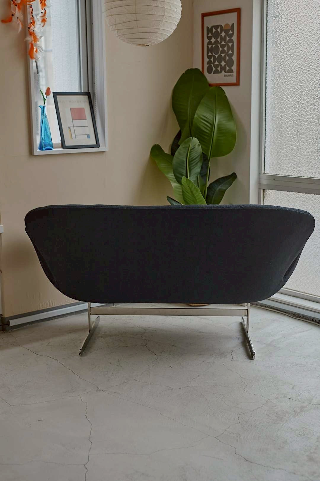 Black Swan Curve