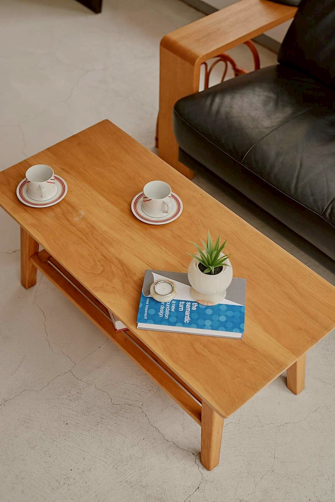 Storage Coffee Table