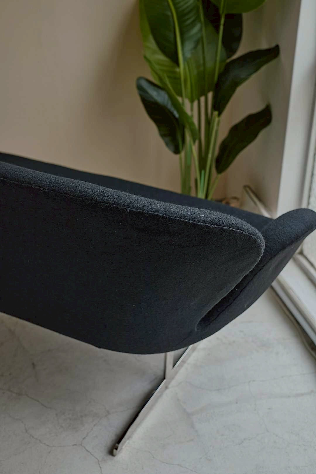 Black Swan Curve