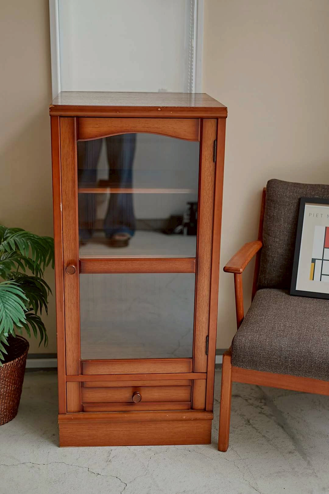 Modern Showcase Cabinet