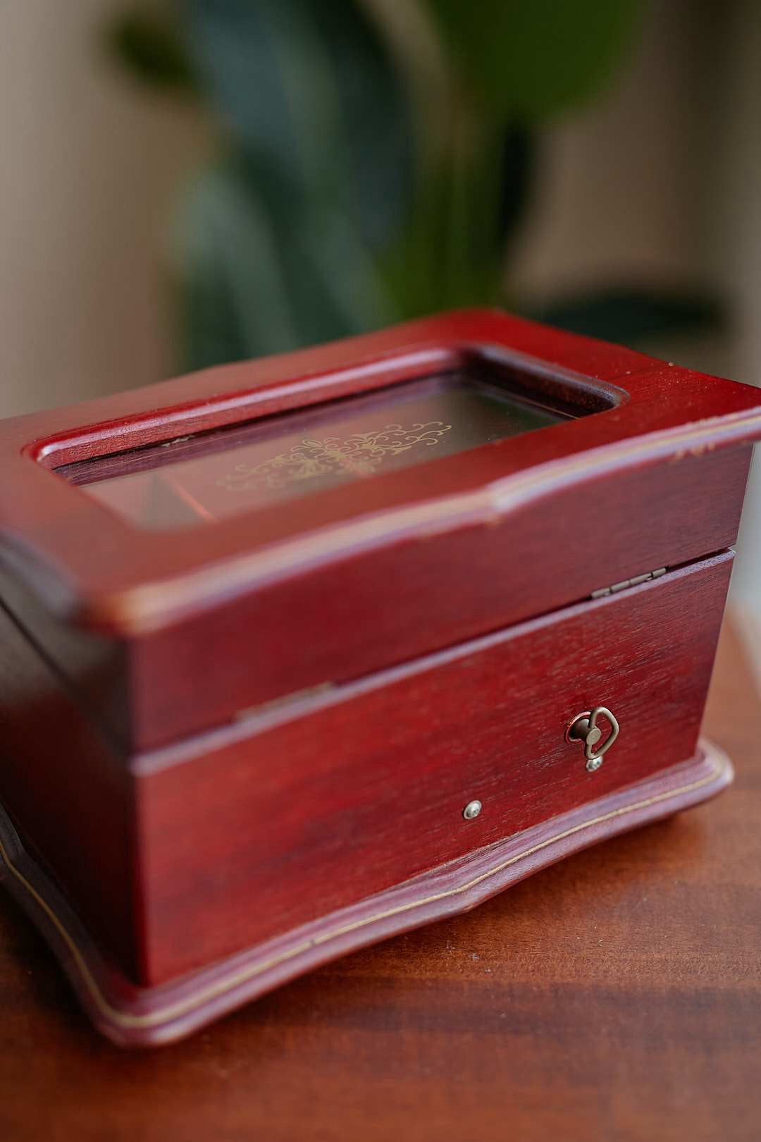 Rouge Velvet Jewelry Case