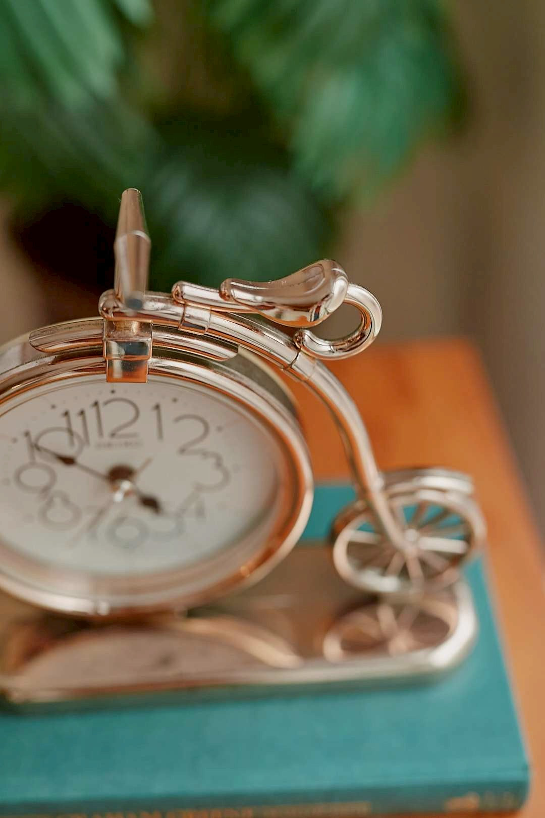Bicycle Frame Clock