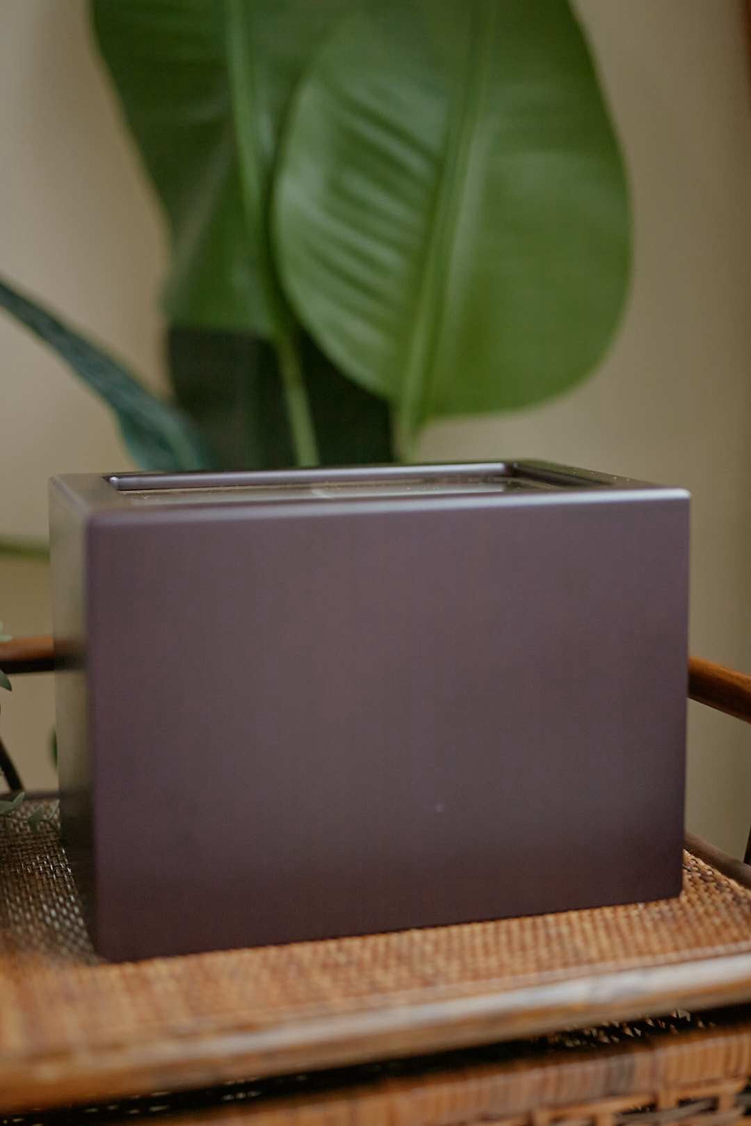 Brown Wave Jewelry Chest