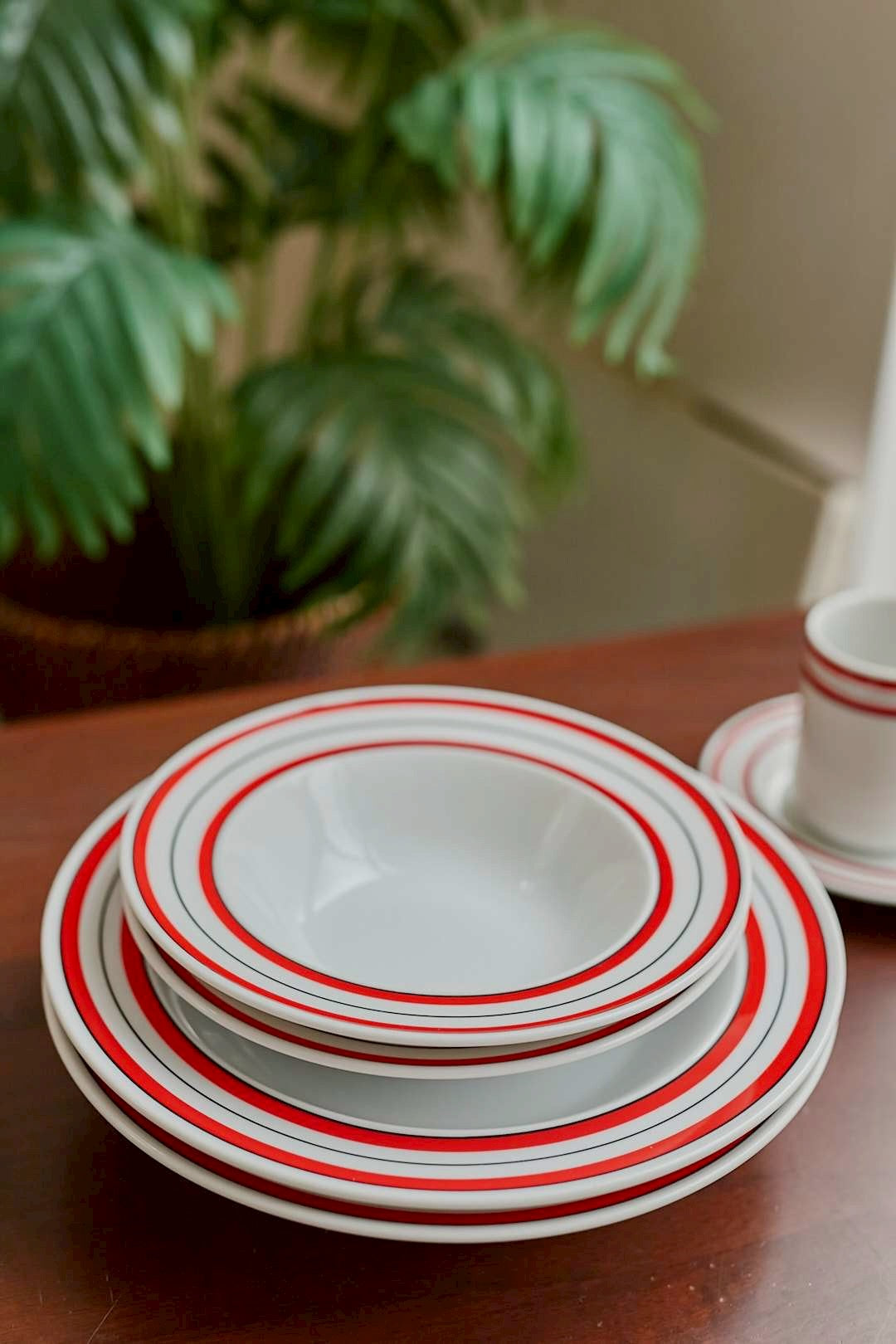 Adam&Eve  Red Line bowl plate【M】