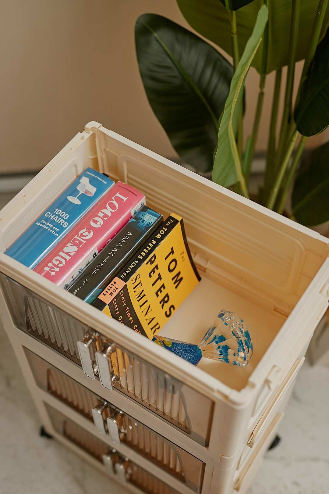 Translucent Storage Box