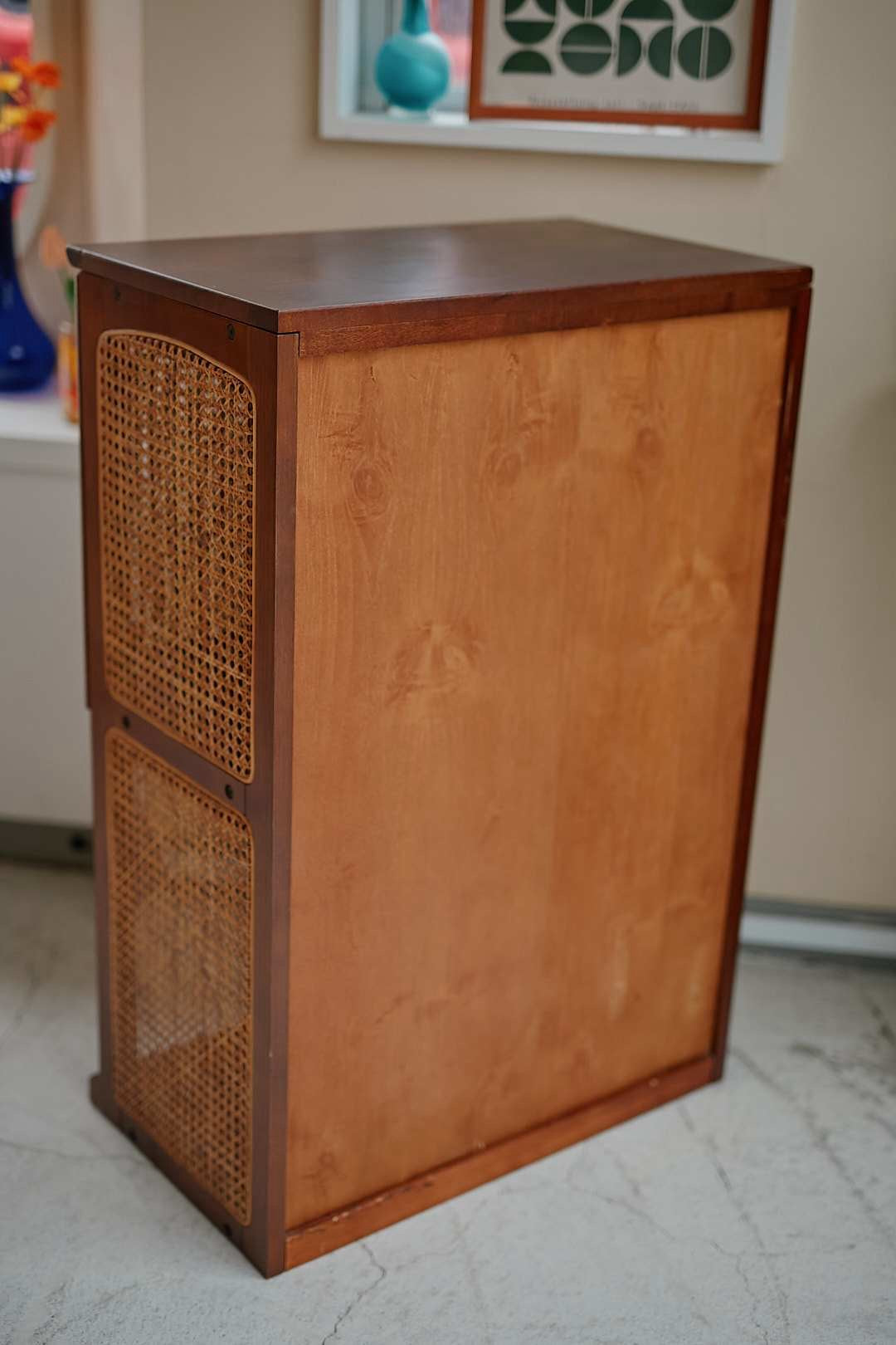 Rattan Frame Storage Shelf