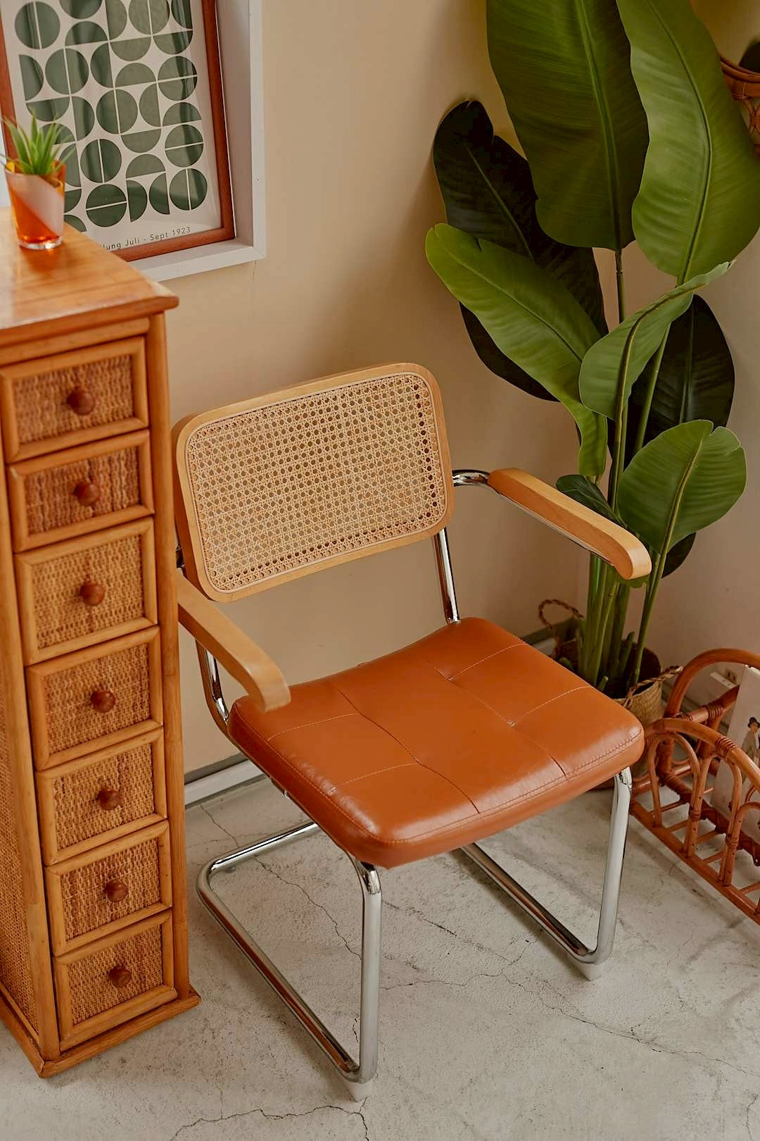 Rattan Cantilever Chair