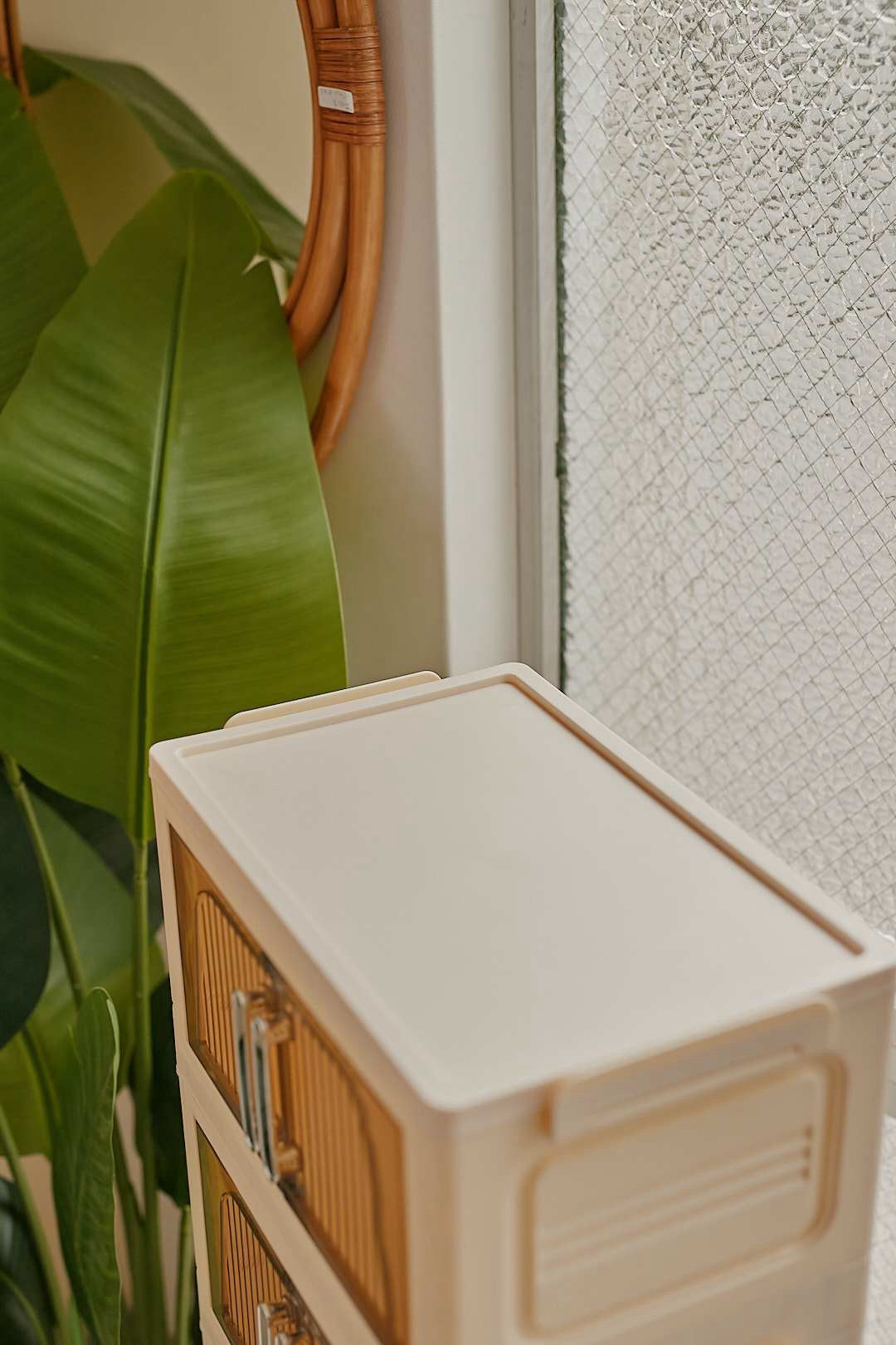 Translucent Storage Box