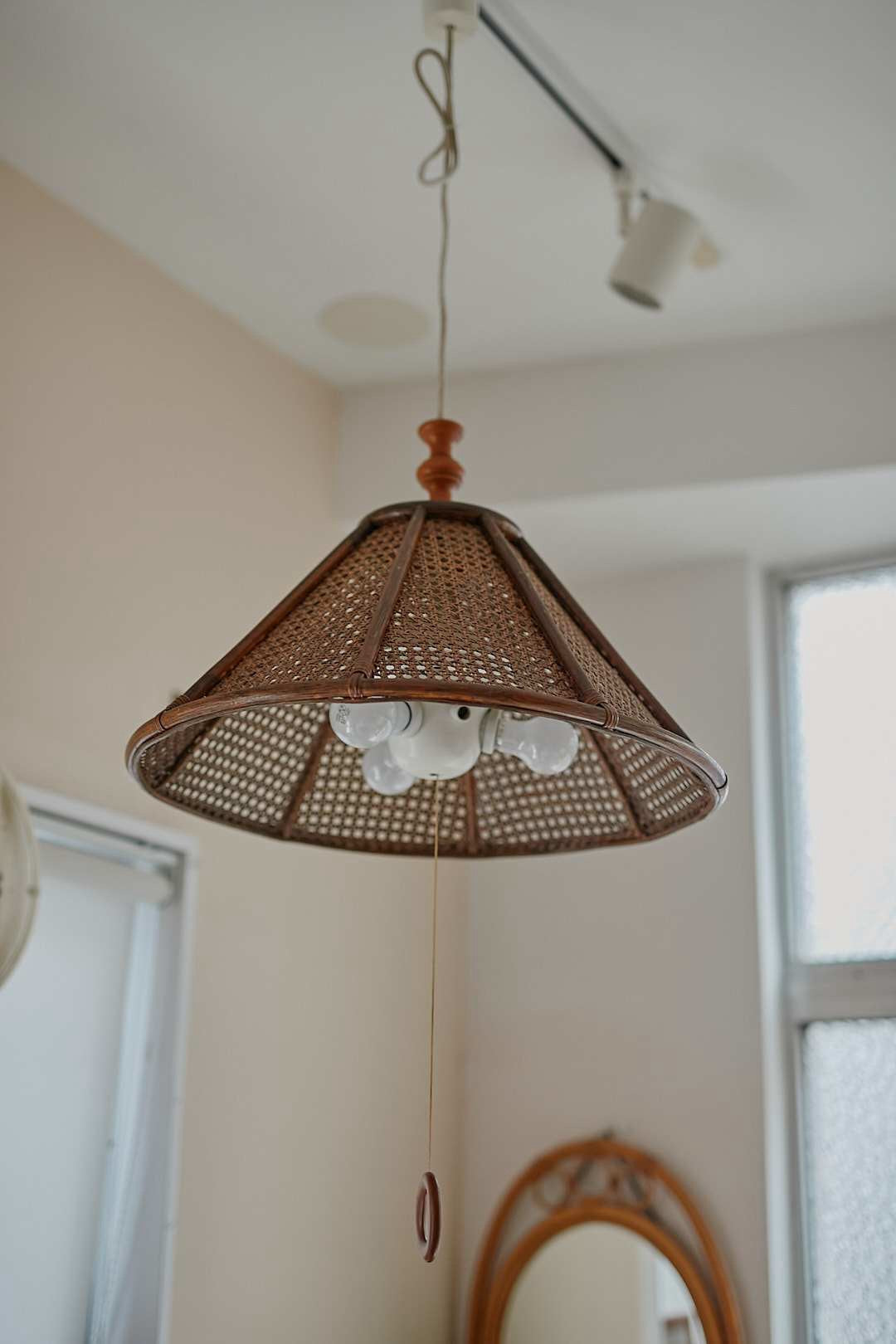 Rattan pendant light