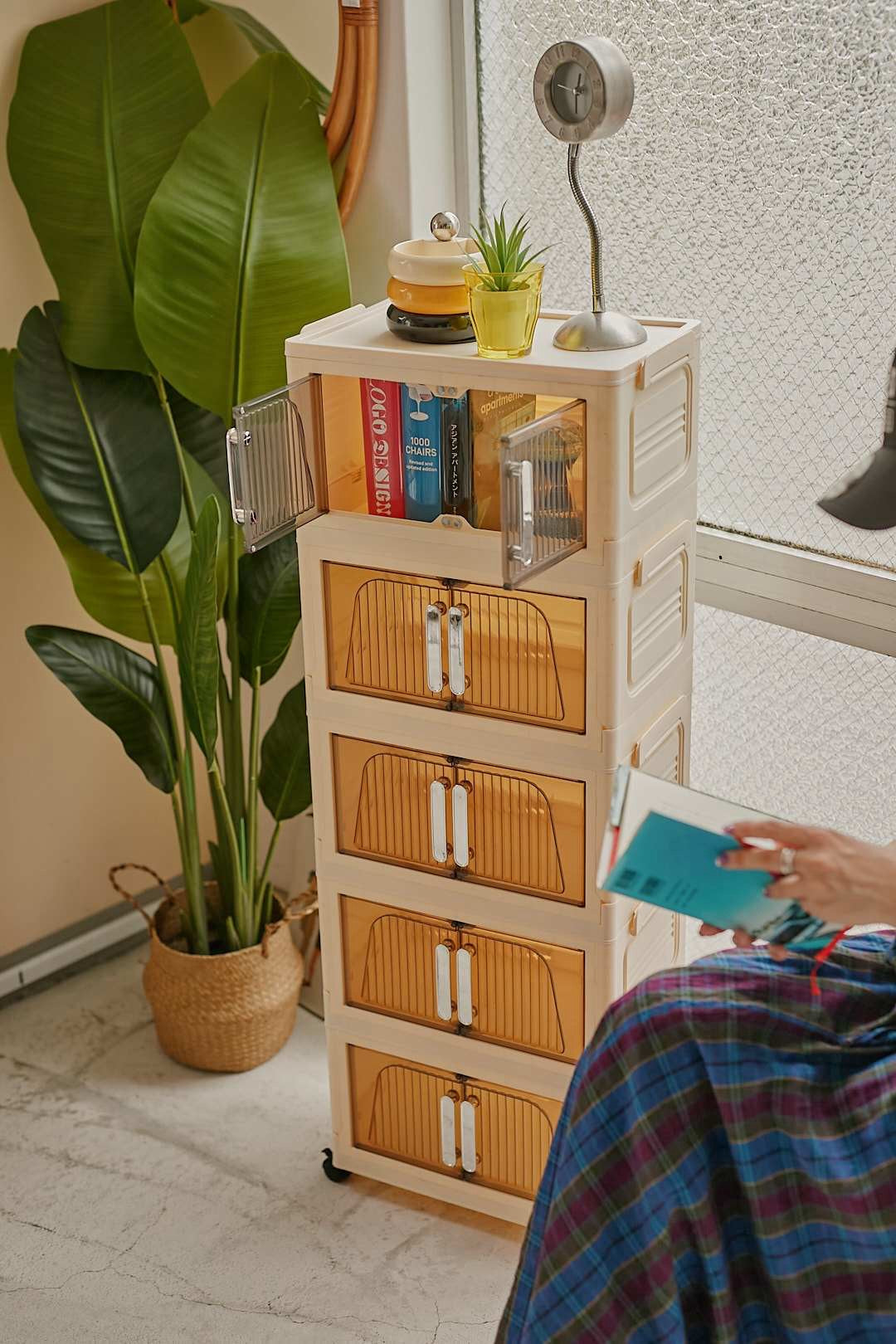 Translucent Storage Box